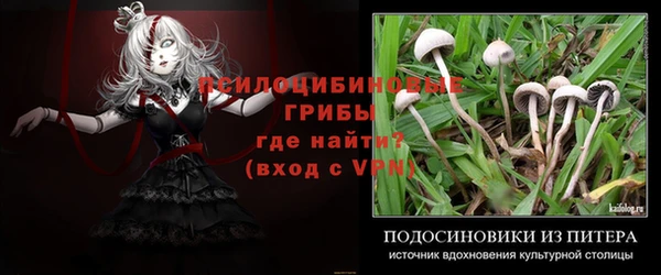 spice Абаза