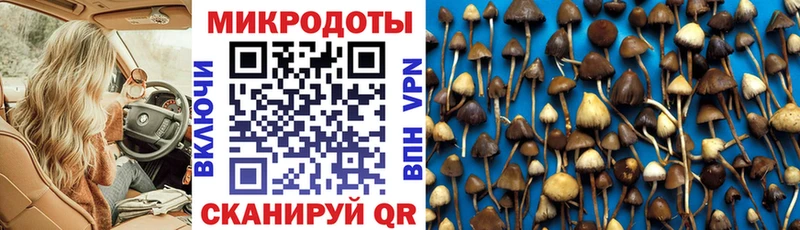 купить  сайты  shop Telegram  Галлюциногенные грибы Psilocybe  Краснозаводск 